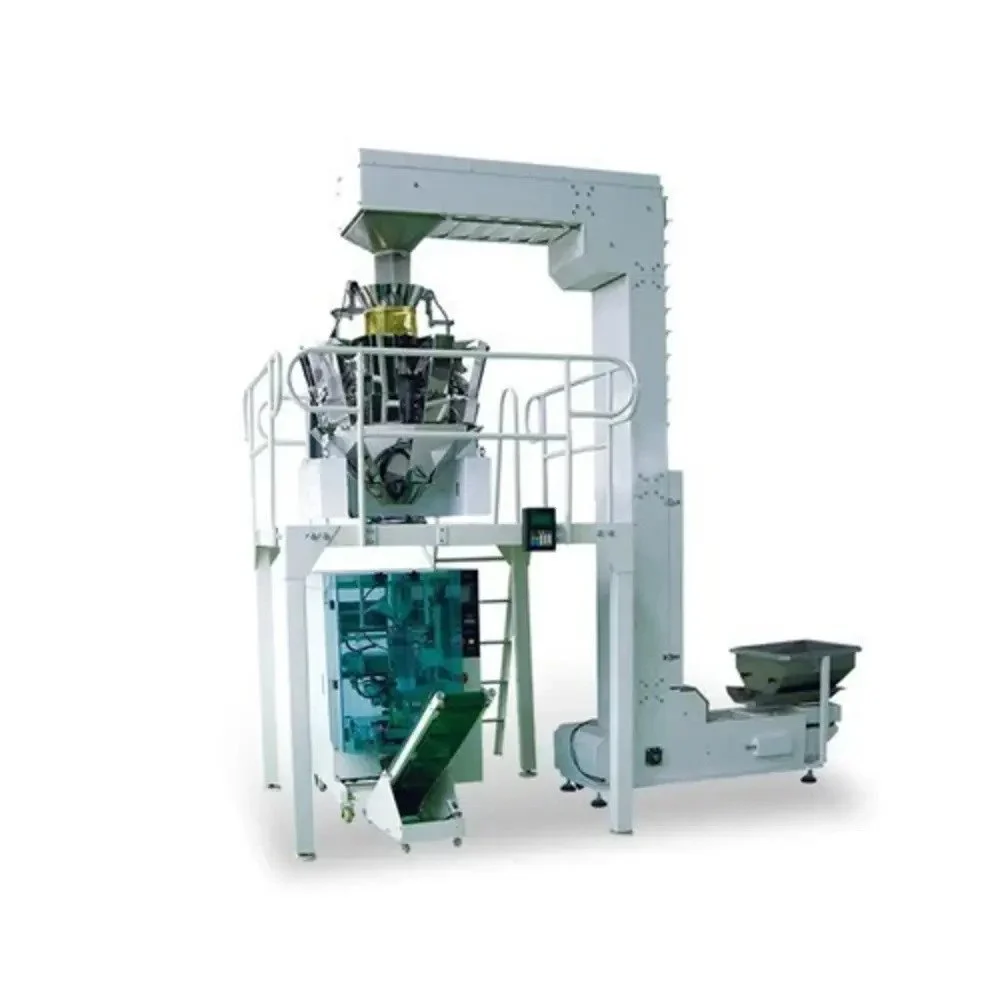500 PPH Automatic Chips Packing Machine (5)